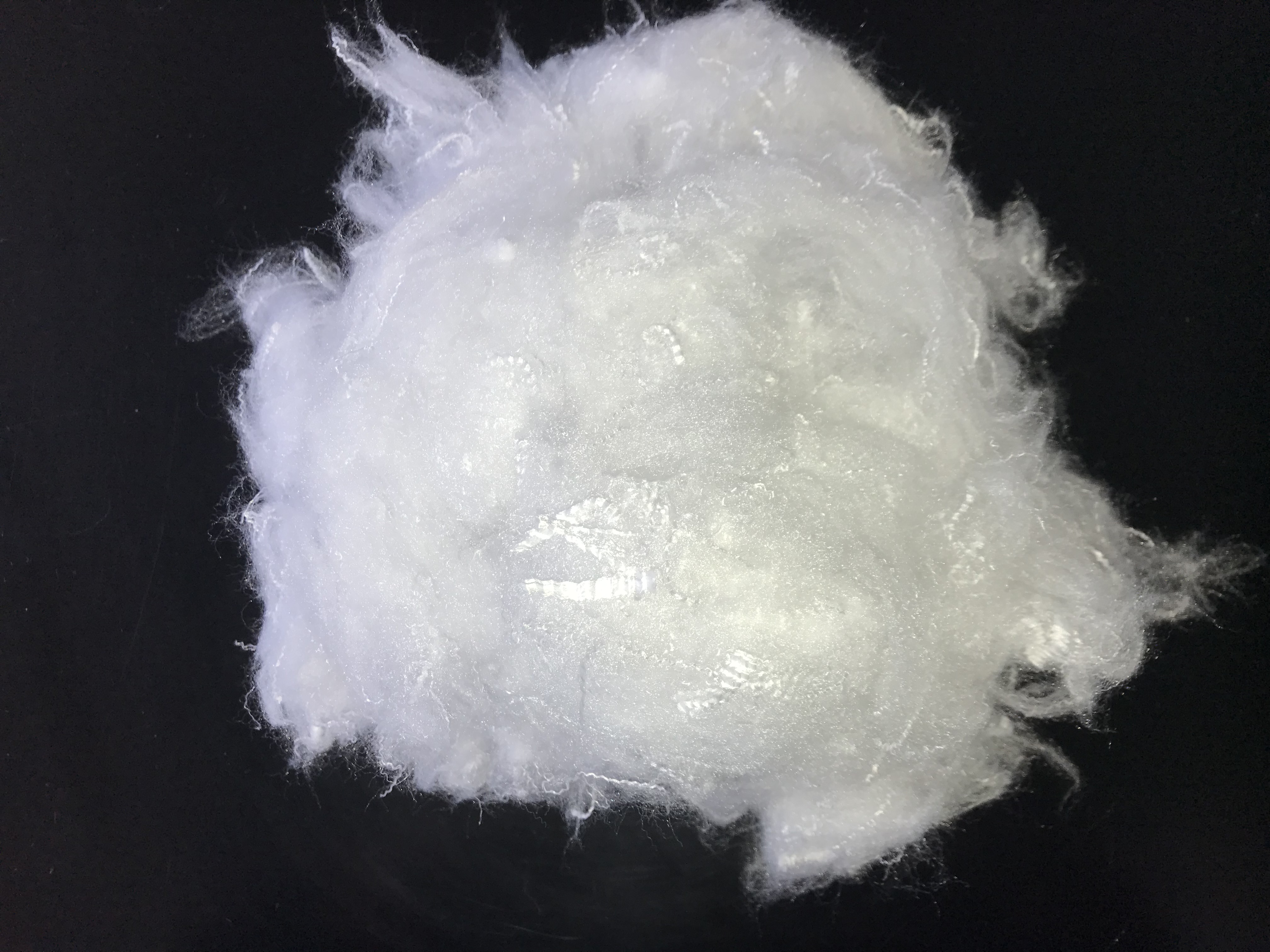 Fibre-Polyester staple fibre 1.2*32mm(White silicon)
